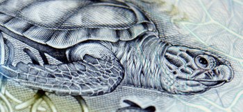 Informações de transparência sobre a Dívida Pública