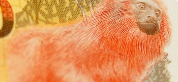 Função do Tesouro de disponibilizar os recursos para pagar as contas do orçamento aprovado pelo Congresso Nacional, permitindo a execução eficiente das políticas públicas que impactam diretamente a vida do cidadão. Acompanhar bem o presente (receitas e despesas) com olho no futuro (equilíbrio fiscal de médio e longo prazo)